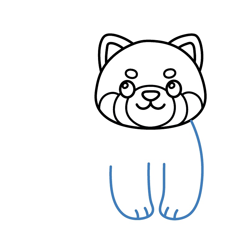 Hướng dẫn vẽ một con gấu trúc đỏ đáng yêu. - Bước 5