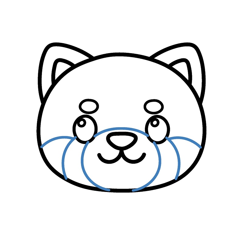 Hướng dẫn vẽ đầu con gấu trúc đỏ. - Bước 5