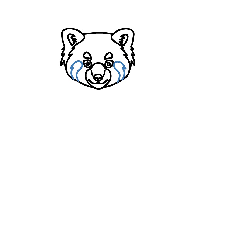 Hướng dẫn vẽ một con gấu trúc đỏ chân thực. - Bước 6