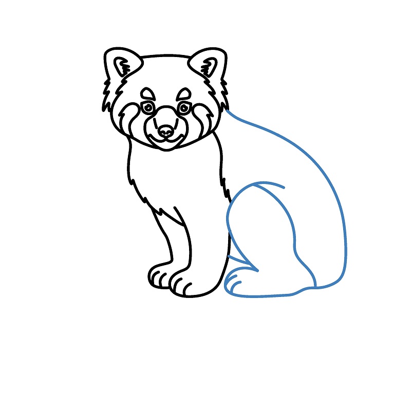 Hướng dẫn vẽ một con gấu trúc đỏ chân thực. - Bước 8