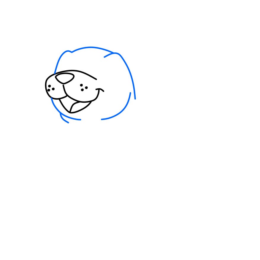 Hướng dẫn cách vẽ hải cẩu đẹp và đơn giản cho bé - Bước 2