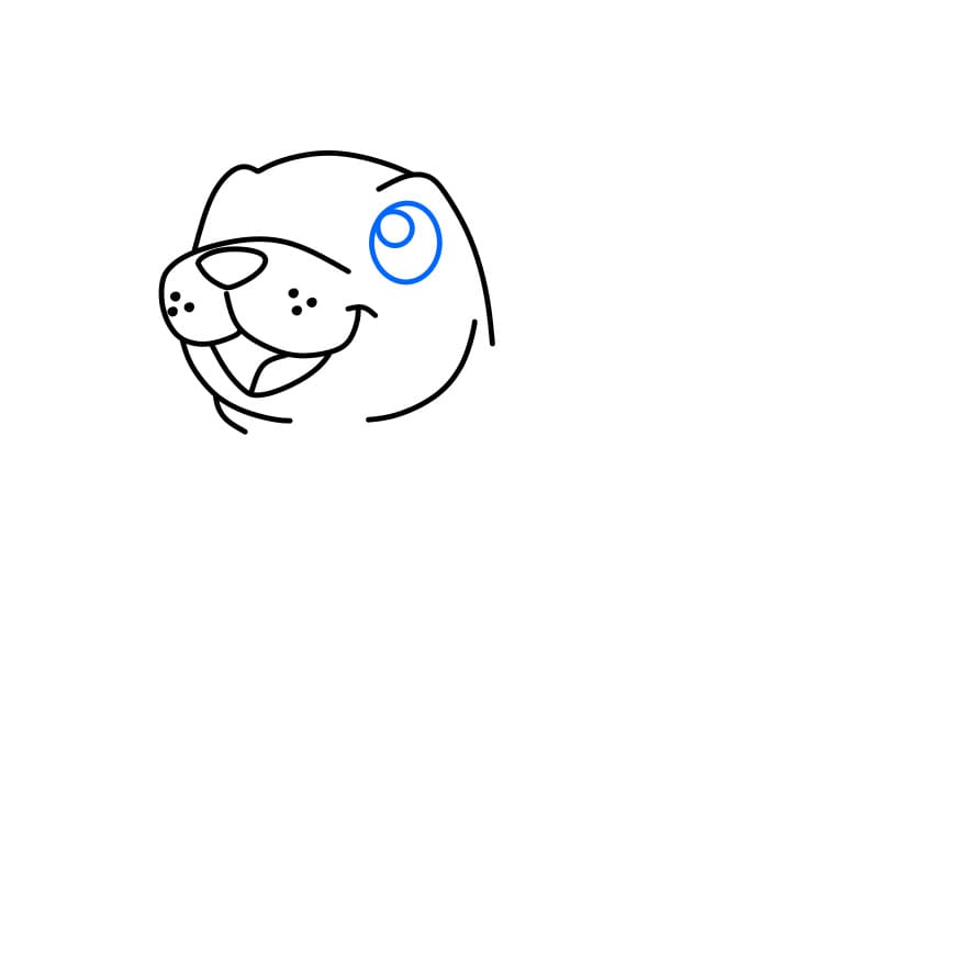 Hướng dẫn cách vẽ hải cẩu đẹp và đơn giản cho bé - Bước 3