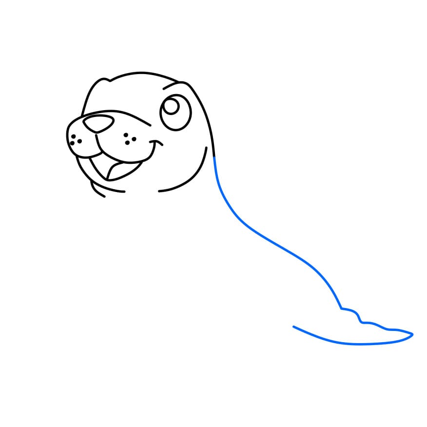 Hướng dẫn cách vẽ hải cẩu đẹp và đơn giản cho bé - Bước 4