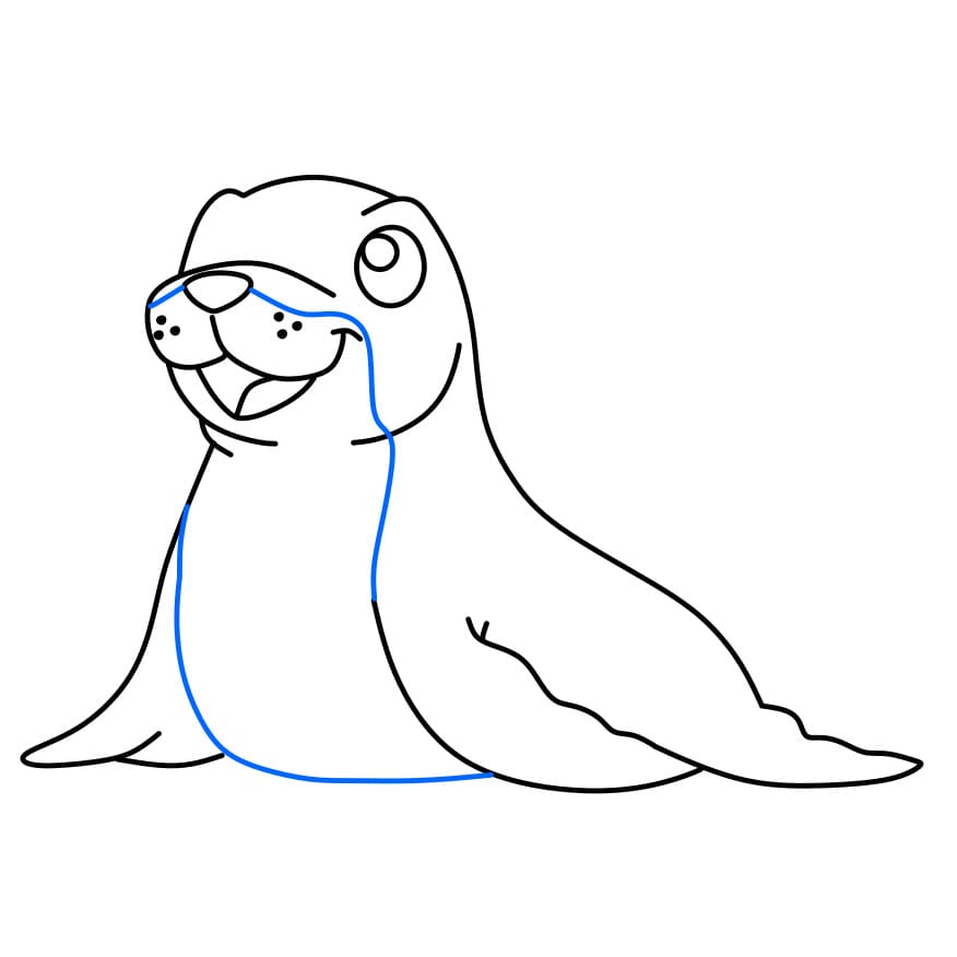 Hướng dẫn cách vẽ hải cẩu đẹp và đơn giản cho bé - Bước 5