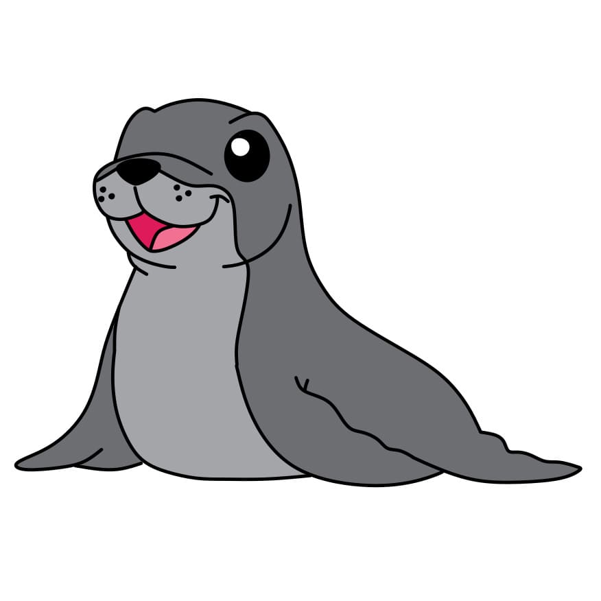 Hướng dẫn cách vẽ hải cẩu đẹp và đơn giản cho bé - Bước 6