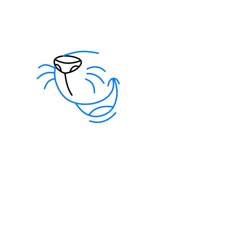 Hướng dẫn vẽ dễ dàng : Hải cẩu - Bước 2