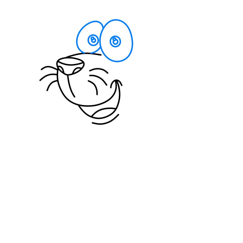 Hướng dẫn vẽ dễ dàng : Hải cẩu - Bước 3