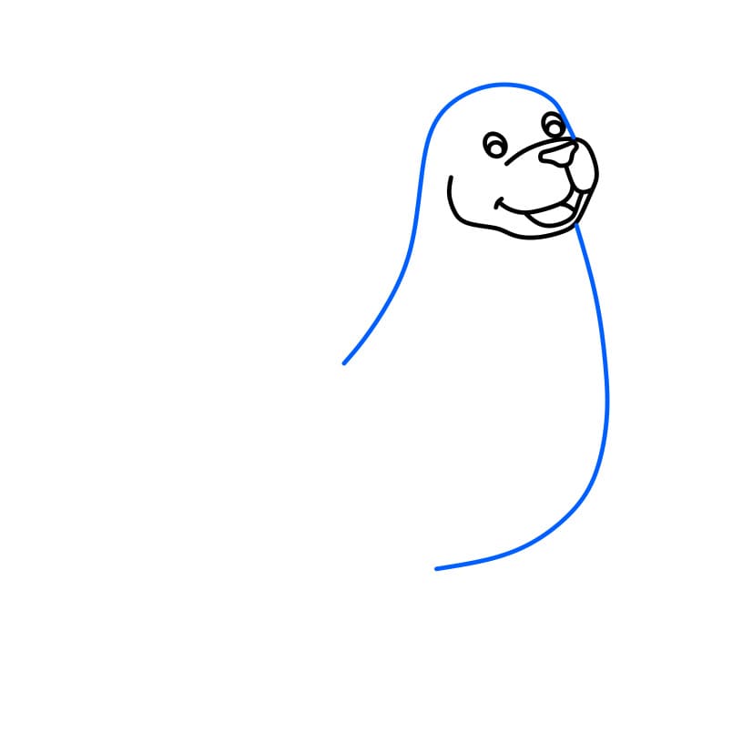 Hướng dẫn cách vẽ con hải cẩu đơn giản - Bước 2