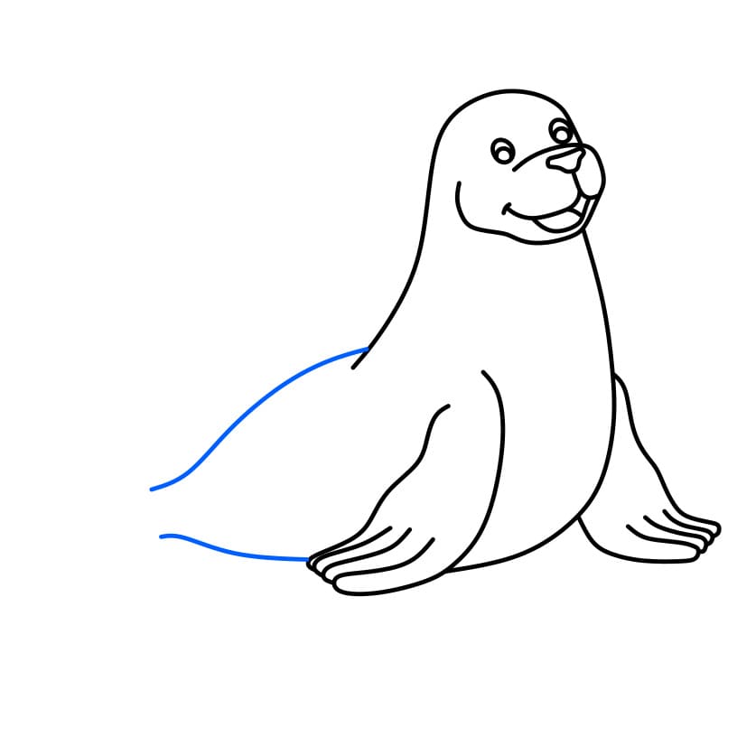 Hướng dẫn cách vẽ con hải cẩu đơn giản - Bước 4