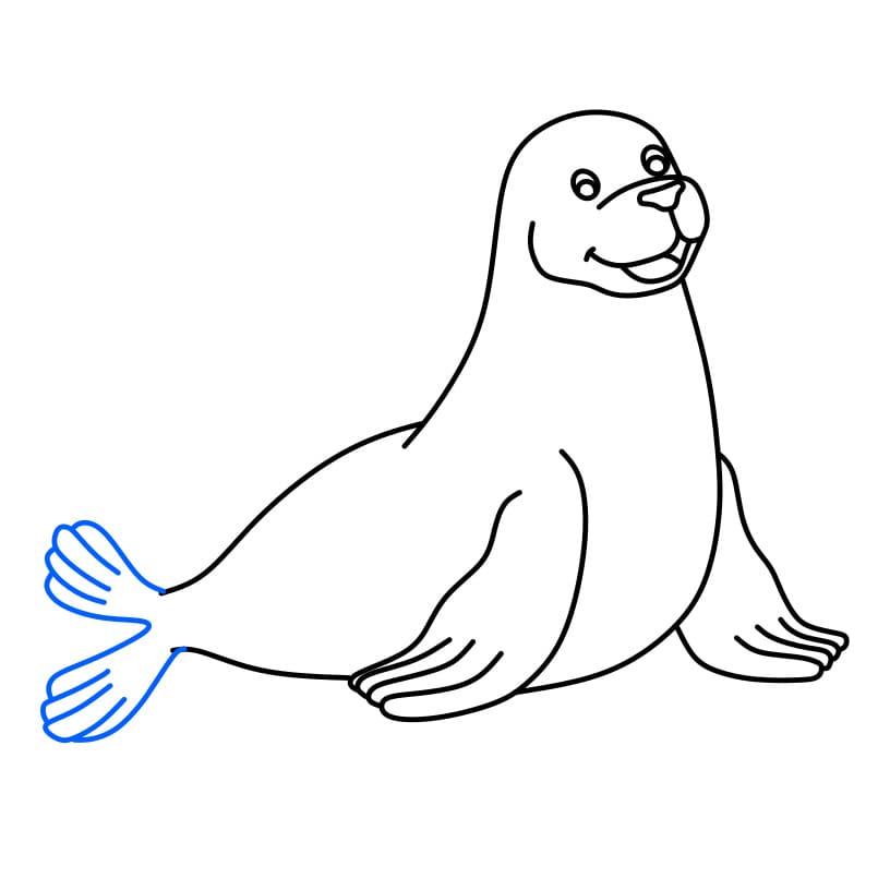 Hướng dẫn cách vẽ con hải cẩu đơn giản - Bước 5