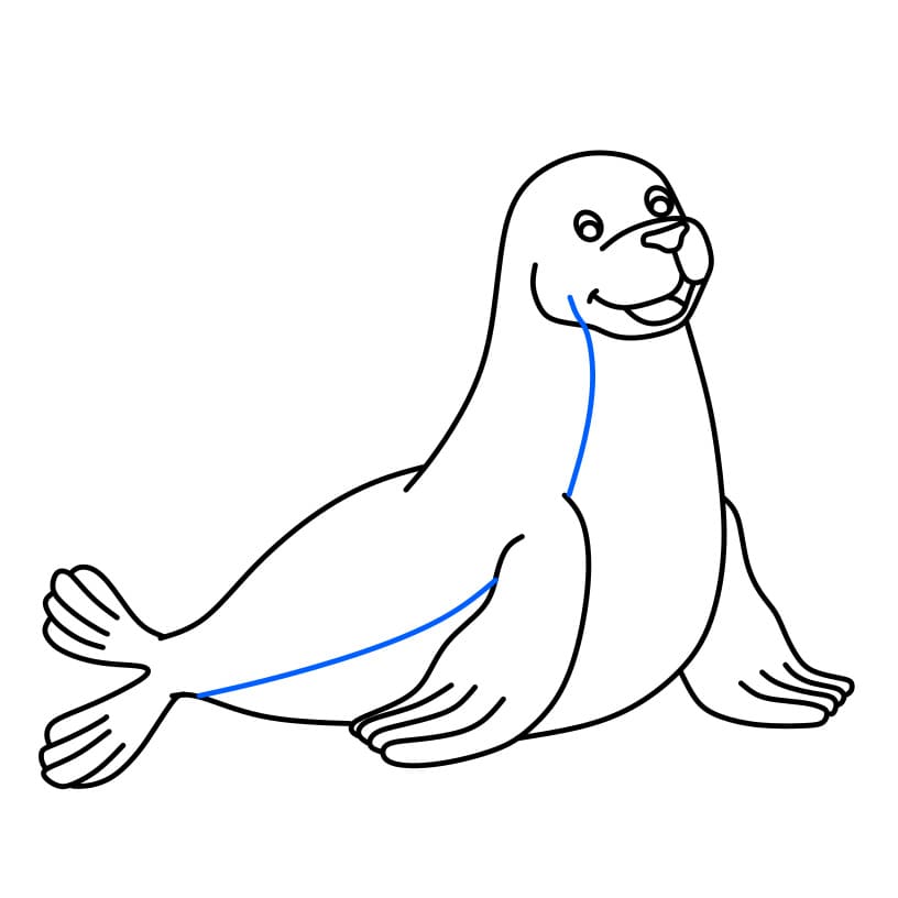 Hướng dẫn cách vẽ con hải cẩu đơn giản - Bước 6