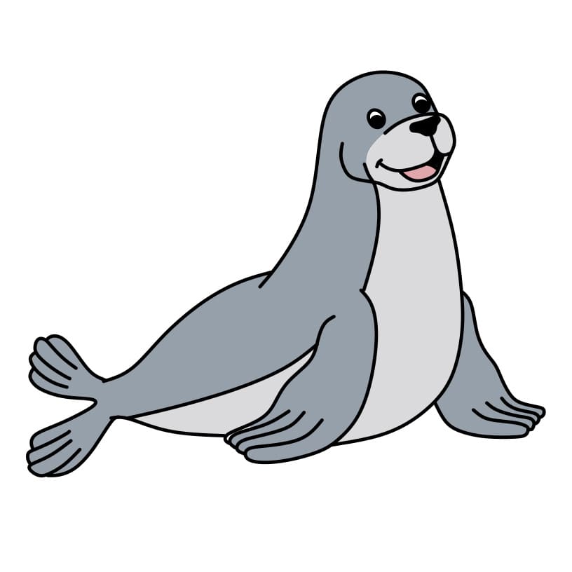 Hướng dẫn cách vẽ con hải cẩu đơn giản
