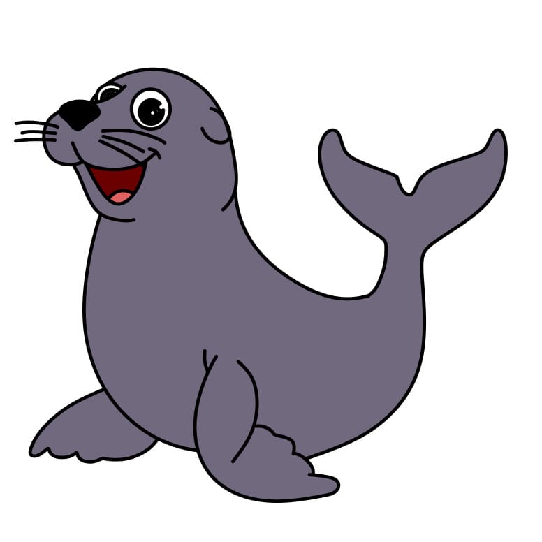 Hướng dẫn cách vẽ hải cẩu chi tiết từng bước cho bé