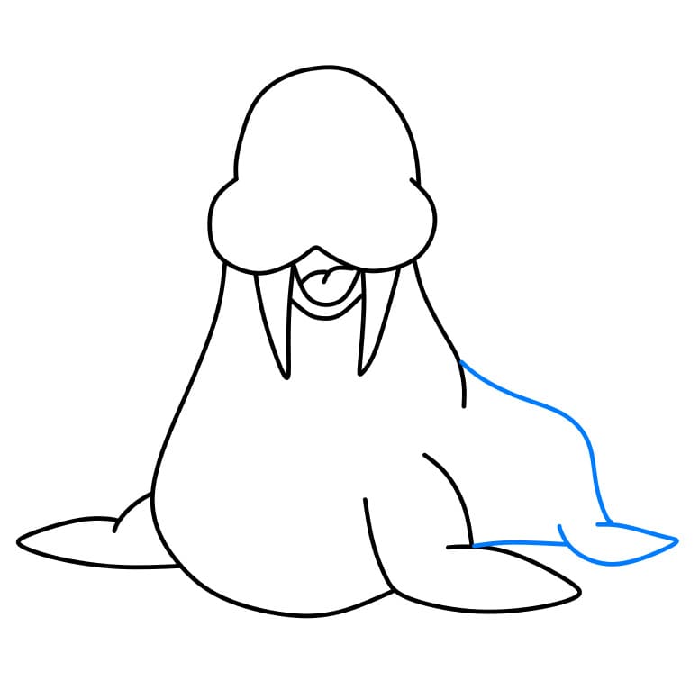 Hướng dẫn cách vẽ hải cẩu đang vui vẻ - Bước 5