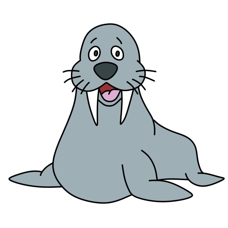 Hướng dẫn cách vẽ hải cẩu đang vui vẻ