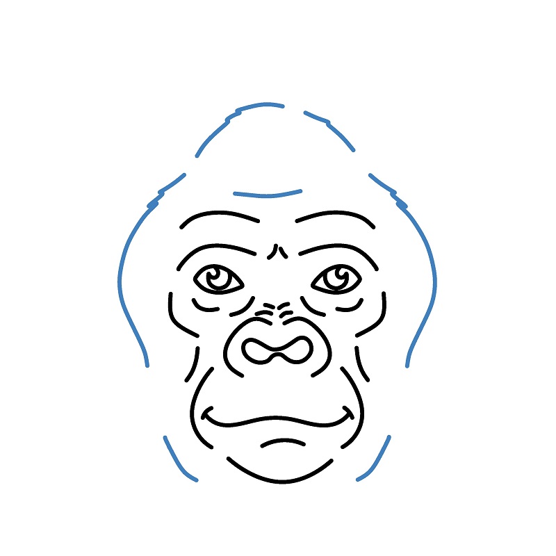 Hướng dẫn vẽ mặt của con khỉ đột. - Bước 5