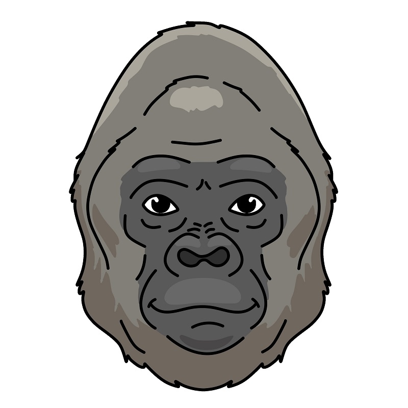 Hướng dẫn vẽ mặt của con khỉ đột.