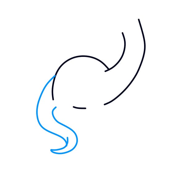 Hưỡng dẫn vẽ chú khủng long cổ dài - Bước 3