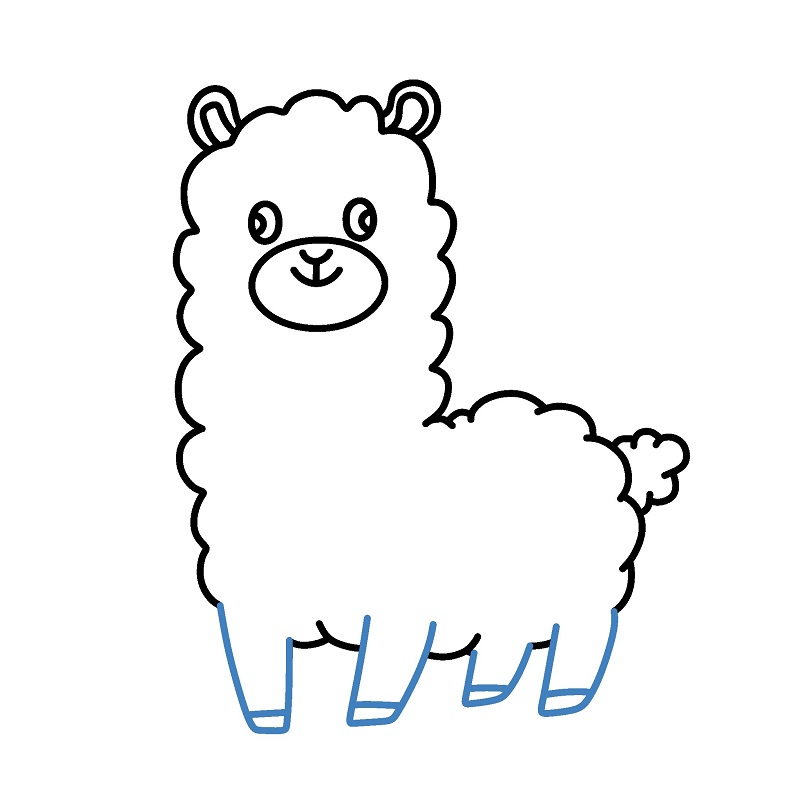 Hướng dẫn vẽ con lạc đà không bướu đơn giản. - Bước 7