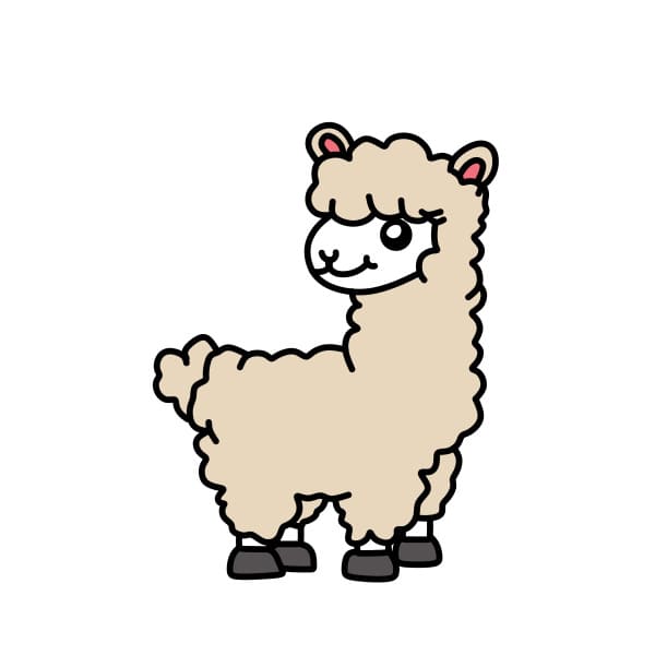 Cách vẽ lạc đà không bướu