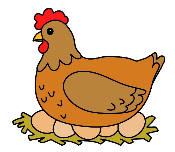 Hướng dẫn vẽ một con gà mái đang ấp trứng. - Bước 8