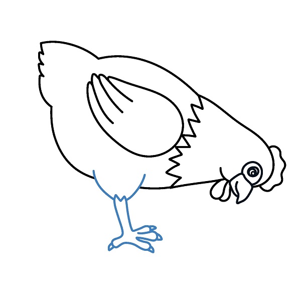 Hướng dẫn vẽ một con gà mái đang ăn. - Bước 7