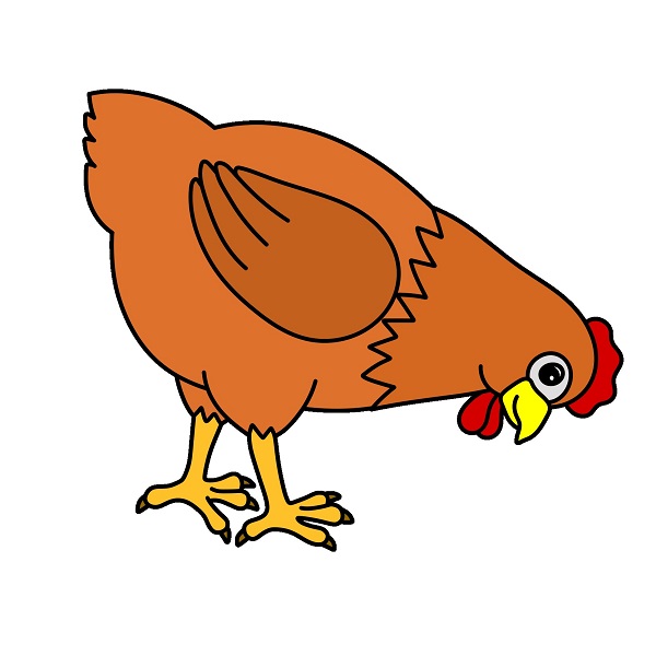 Hướng dẫn vẽ một con gà mái đang ăn. - Bước 8