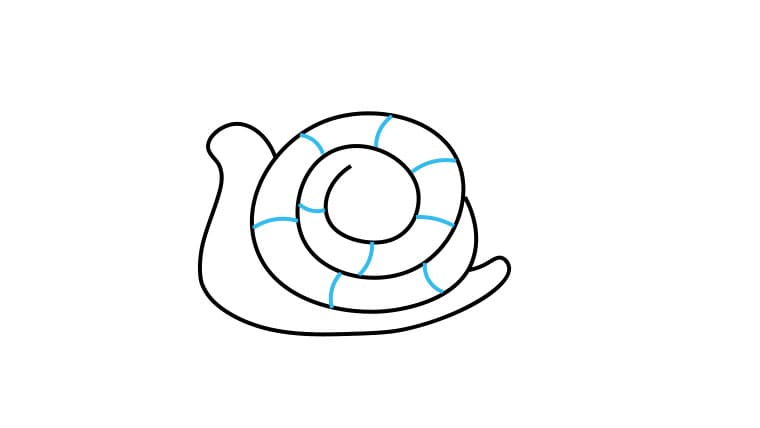 Hướng dẫn cách vẽ con ốc sên đơn giản - Bước 3