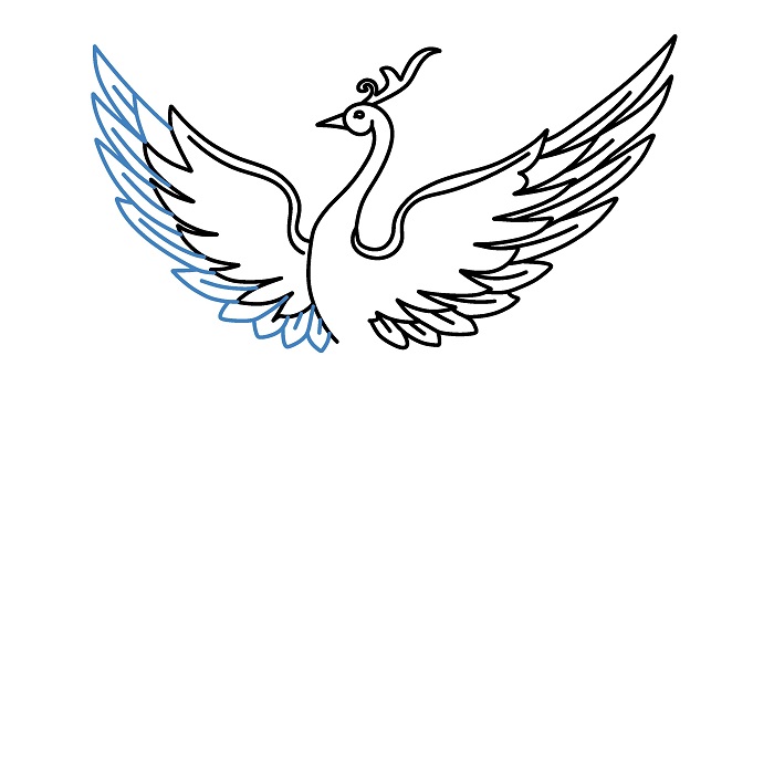 Hướng dẫn vẽ Phượng Hoàng cực chi tiết và đẹp mắt. - Bước 6