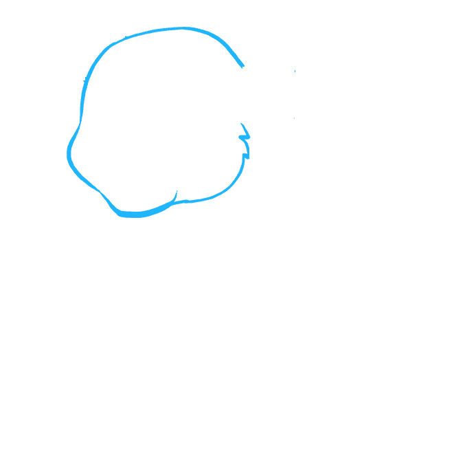 Hướng dẫn cách vẽ con sư tử chi tiết từng bước và đơn giản cho bé - Bước 1