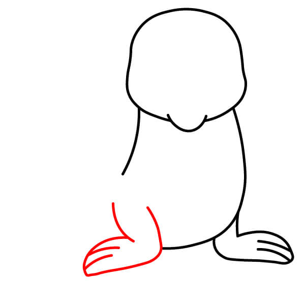 Hướng dẫn vẽ một chú Sư tử biển dễ thương cho trẻ em - Vây trước bên trái