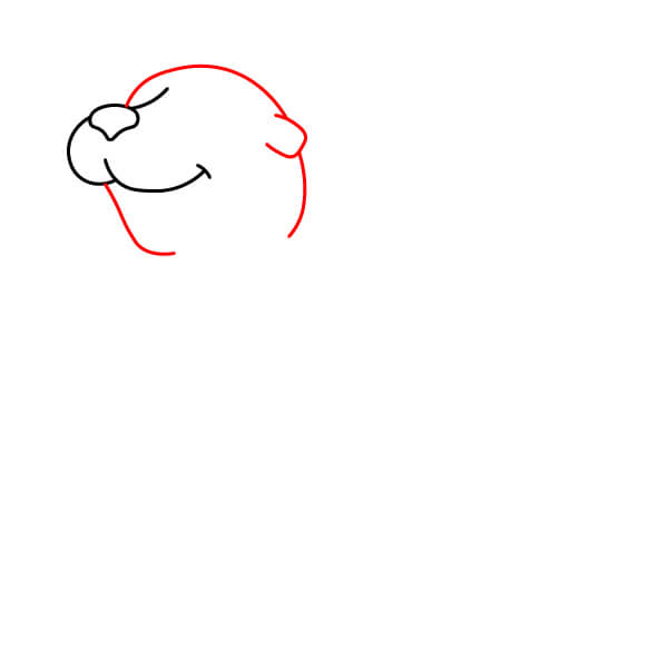 Hướng dẫn vẽ Sư tử biển đơn giản dành cho các họa sĩ trẻ. - Đường viền đầu và Tai