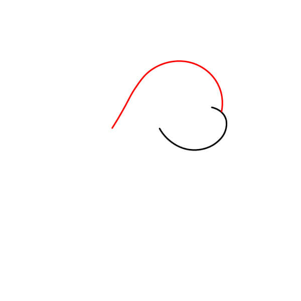 Các bước vẽ sư tử biển đơn giản dành cho người mới bắt đầu và trẻ em - Đường viền đầu