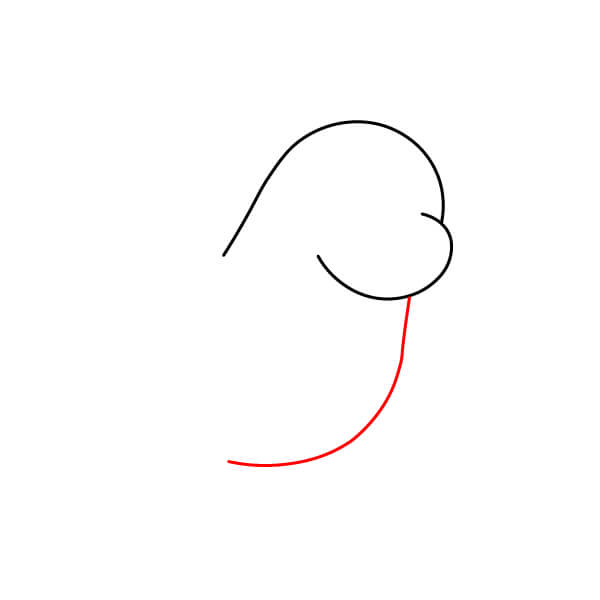 Các bước vẽ sư tử biển đơn giản dành cho người mới bắt đầu và trẻ em - Đường viền thân dưới