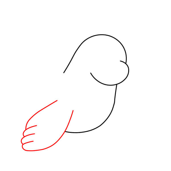 Các bước vẽ sư tử biển đơn giản dành cho người mới bắt đầu và trẻ em - Vây trước bên trái