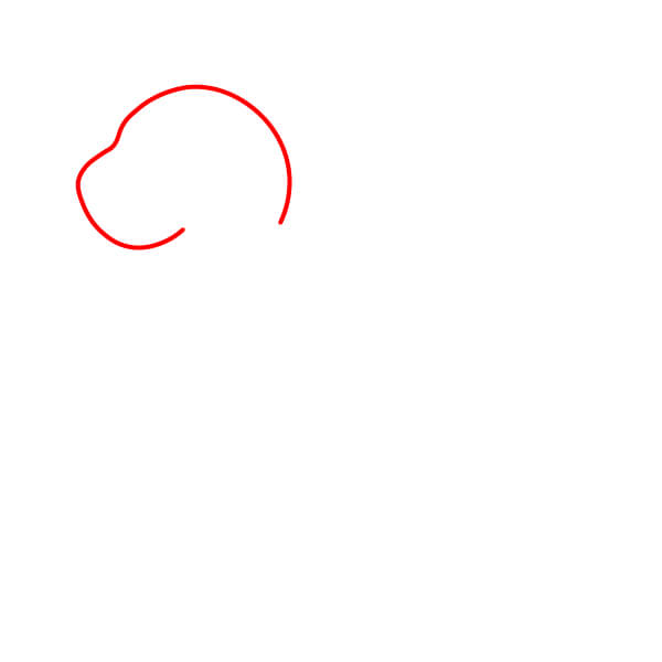 Bài học vẽ sư tử biển thân thiện với trẻ em - Phác thảo đầu