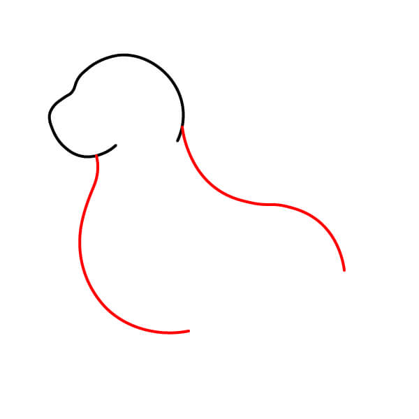 Bài học vẽ sư tử biển thân thiện với trẻ em - Phác thảo thân