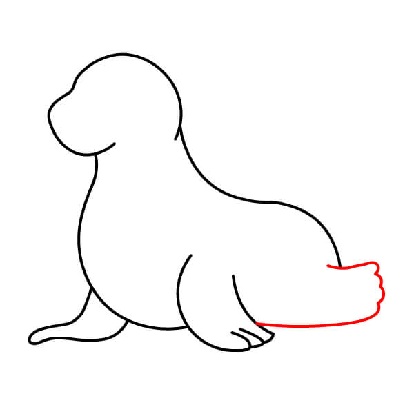 Bài học vẽ sư tử biển thân thiện với trẻ em - Vây sau