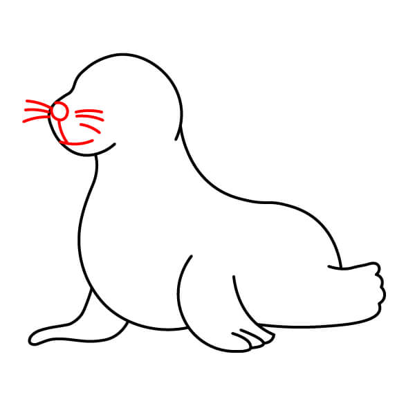 Bài học vẽ sư tử biển thân thiện với trẻ em - Chi tiết khuôn mặt (Miệng, Mũi, Râu)