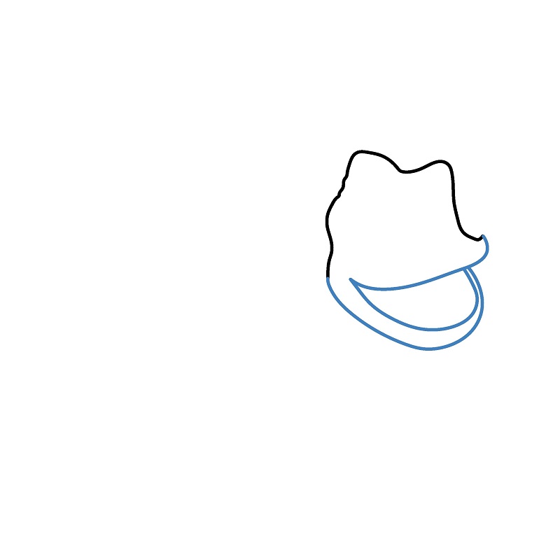 Hướng dẫn vẽ một con Tắc kè hoa đơn giản. - Bước 2