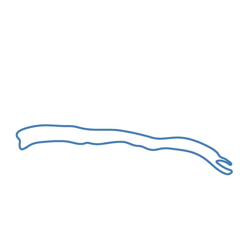 Hướng dẫn vẽ con Tắc kè hoa đẹp mắt. - Bước 1