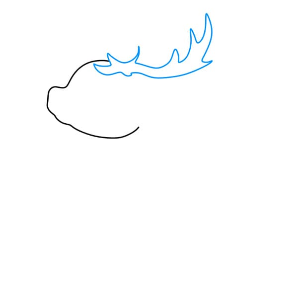 Hướng dẫn cách vẽ một con Tuần Lộc đơn giản và đẹp cho bé - Bước 2