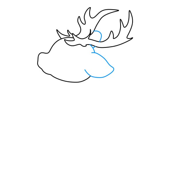 Hướng dẫn cách vẽ một con Tuần Lộc đơn giản và đẹp cho bé - Bước 3