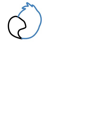 Hướng dẫn vẽ con gà tây phong cách hoạt hình. - Bước 2