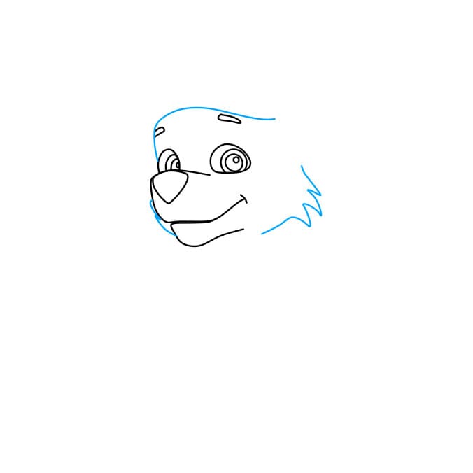 Hướng dẫn cách vẽ chú chó siêu anh hùng – Rocky đơn giản và đẹp - Bước 2