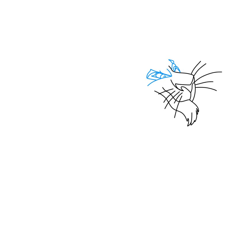 Hướng dẫn cách vẽ nhân vật Scar (from The Lion King) đơn giản cho bé - Bước 2