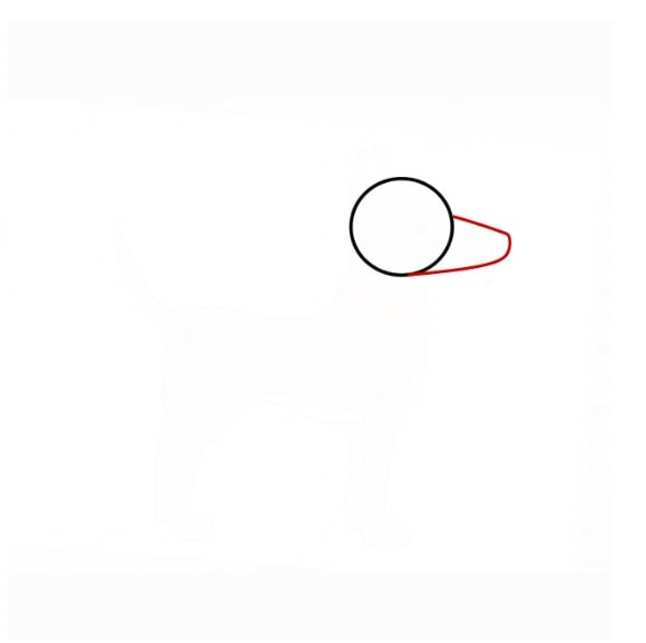 Hướng dẫn vẽ con chó siêu dễ cho bé - Bước 2