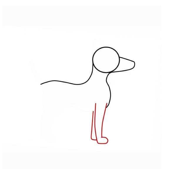 Hướng dẫn vẽ con chó siêu dễ cho bé - Bước 4