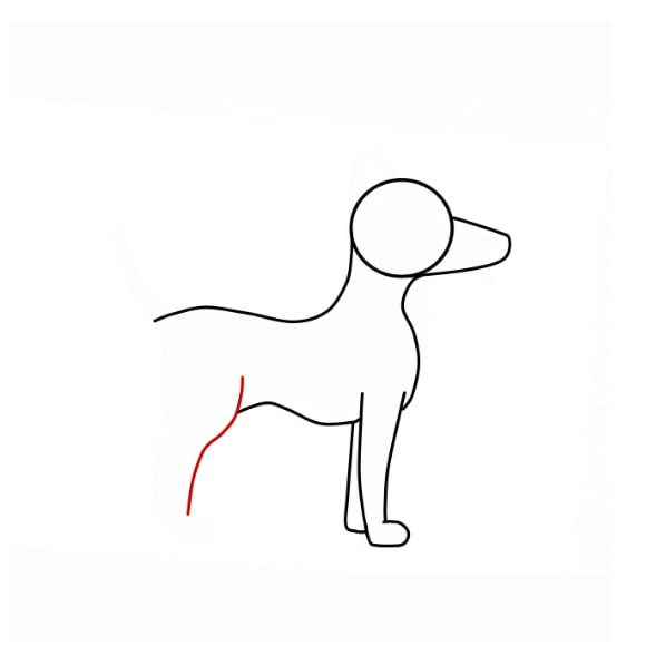 Hướng dẫn vẽ con chó siêu dễ cho bé - Bước 6