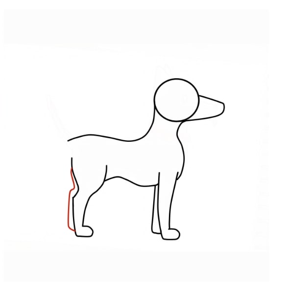 Hướng dẫn vẽ con chó siêu dễ cho bé - Bước 7